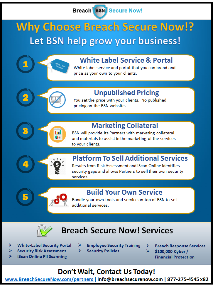 BSN Partner Brochure